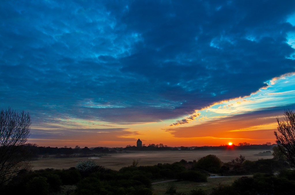 20200409 Meijendel sunrise.jpg